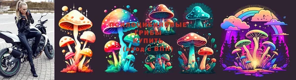 твердый Медвежьегорск