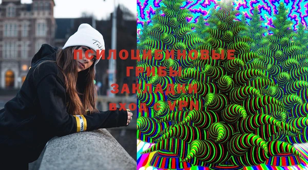 твердый Медвежьегорск