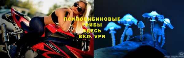 твердый Медвежьегорск