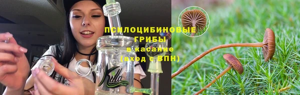 гидра Медногорск