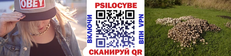 Галлюциногенные грибы GOLDEN TEACHER  блэк спрут ссылка  Цимлянск 
